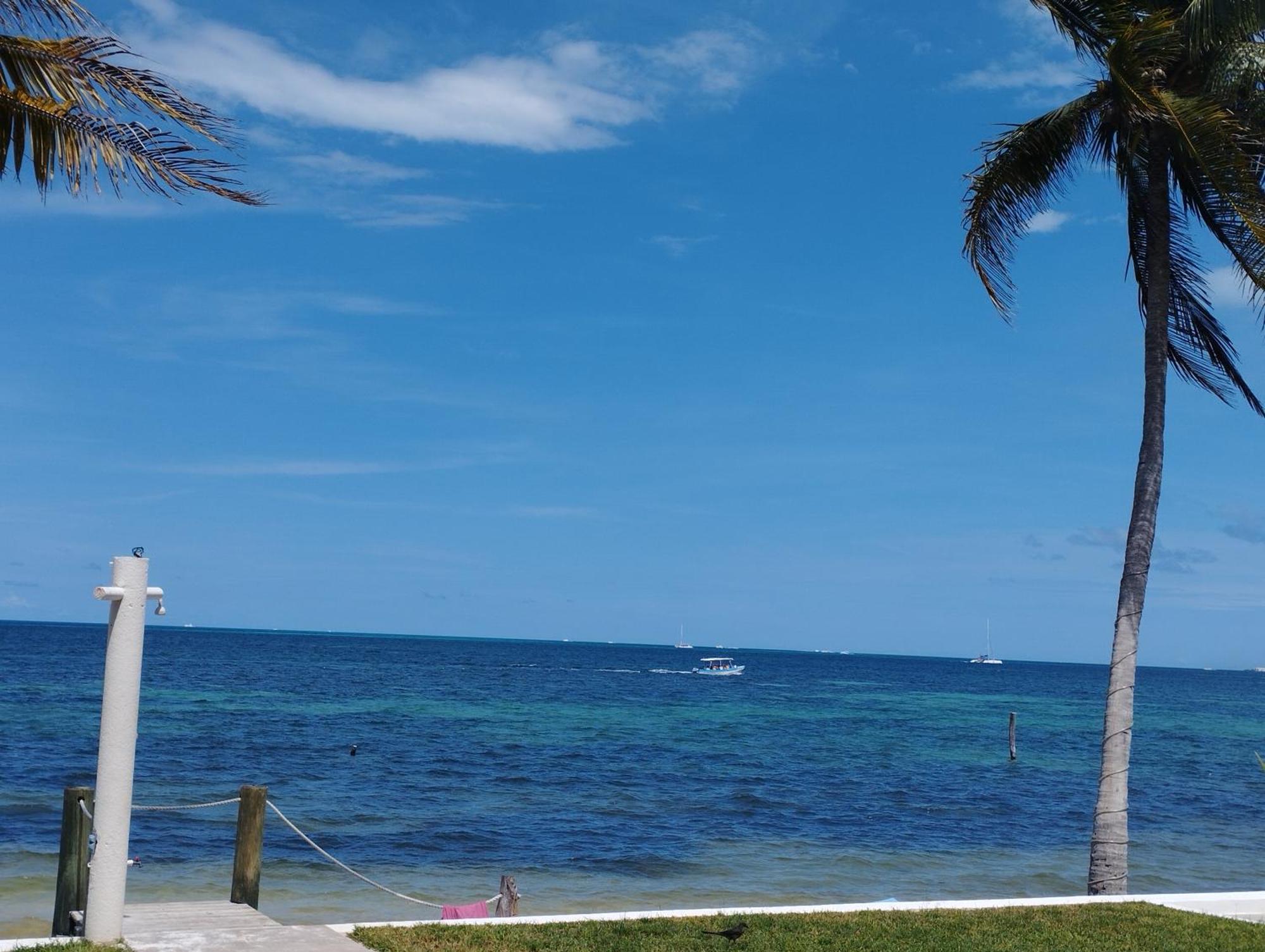 Cancun Ocean View Flamingo Plus Bagian luar foto